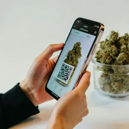Metrc Launches Recall Notifications Revolutionizing California Cannabis Safety